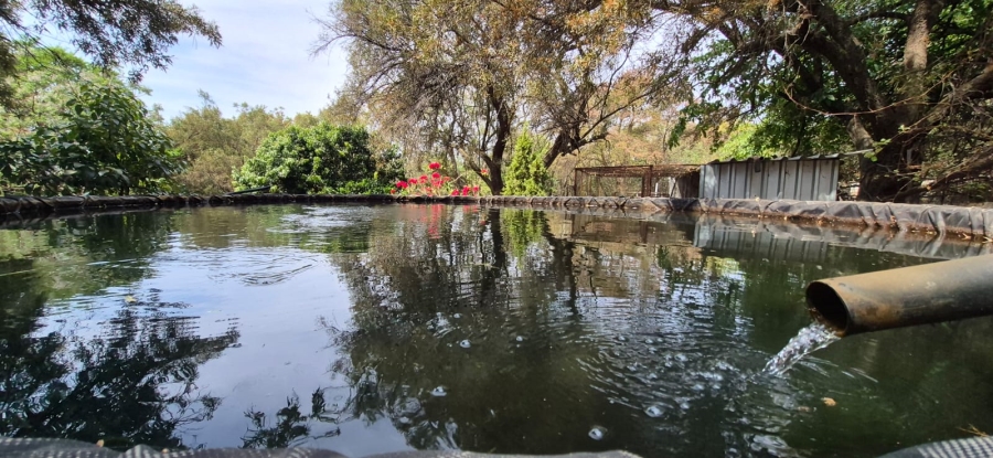 7 Bedroom Property for Sale in Koster North West